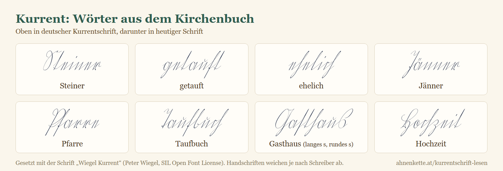 Wörter aus dem Kirchenbuch in Kurrentschrift mit heutiger Schreibung: Steiner, getauft, ehelich, Jänner, Pfarre, Taufbuch, Gasthaus, Hochzeit
